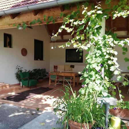 אילמיץ Anna'S Cosy Apartment מראה חיצוני תמונה
