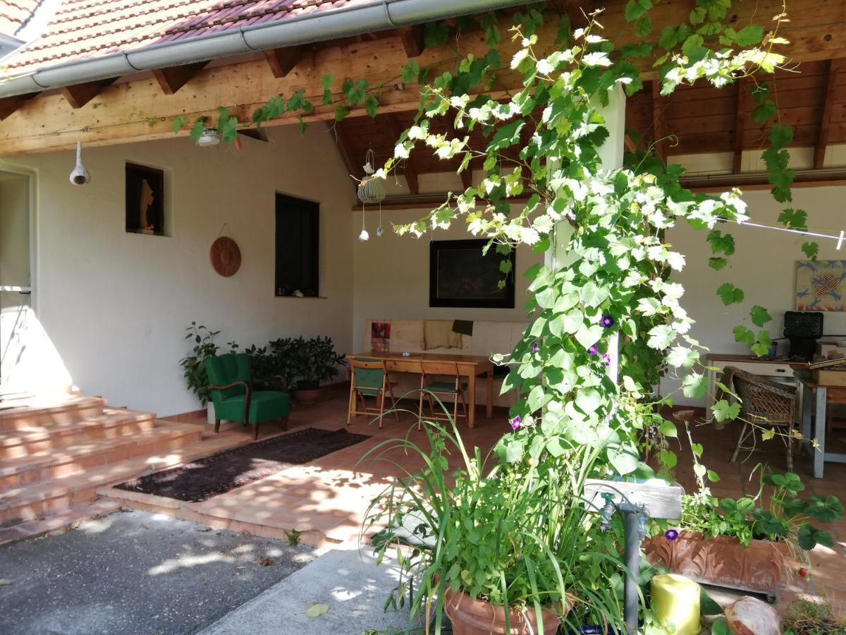 אילמיץ Anna'S Cosy Apartment מראה חיצוני תמונה