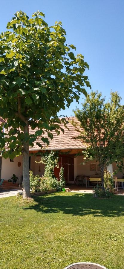 אילמיץ Anna'S Cosy Apartment מראה חיצוני תמונה